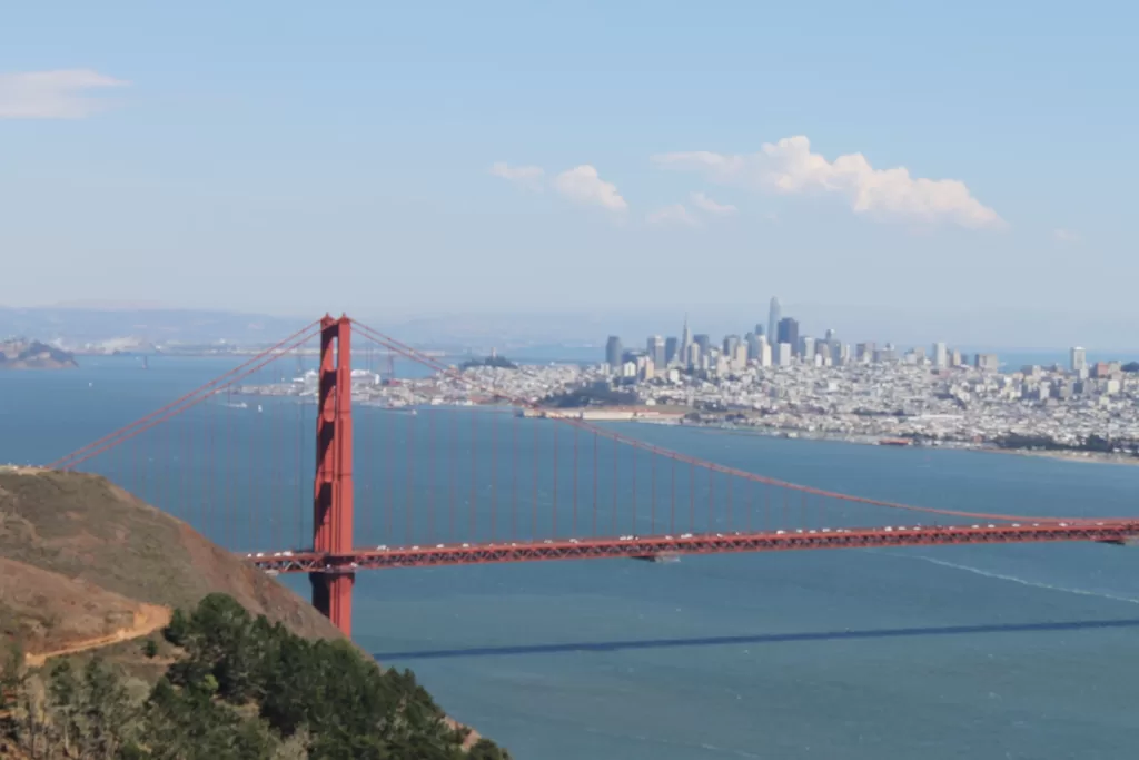 Trust and Estate adminstration Lawyers