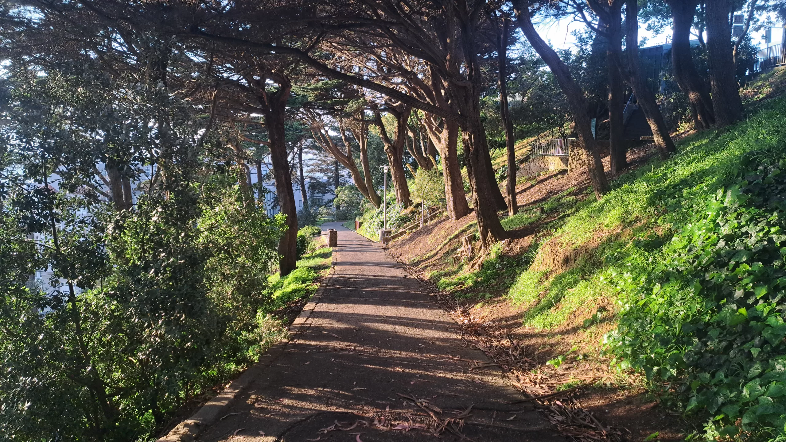 Estate Planning, Wills and Trusts